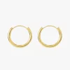 Close-up of gold hoop earrings with a sleek, polished design, perfect for everyday wear.